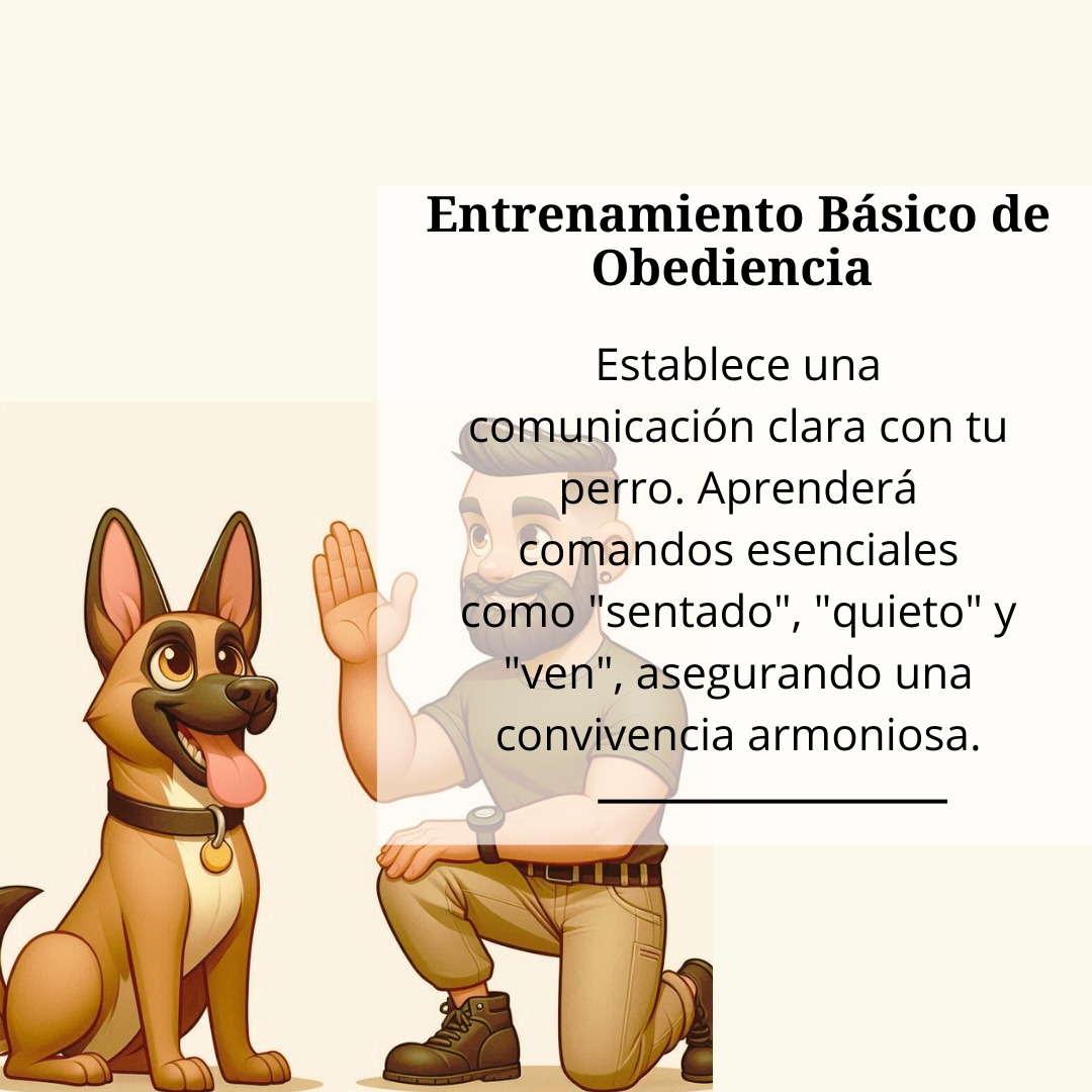 Entrenamiento Básico de Obediencia